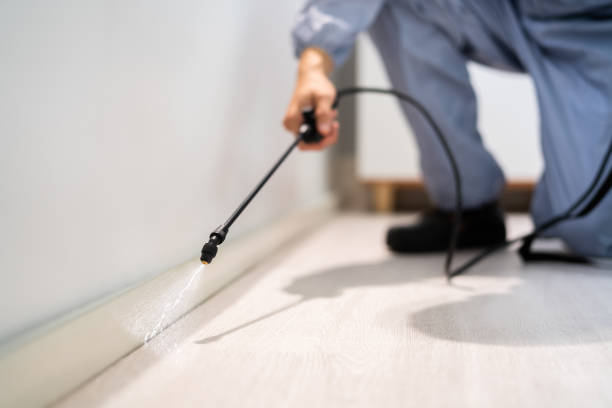 Licensed Pest Control service in Okawville, IL - Show Me Pest Control